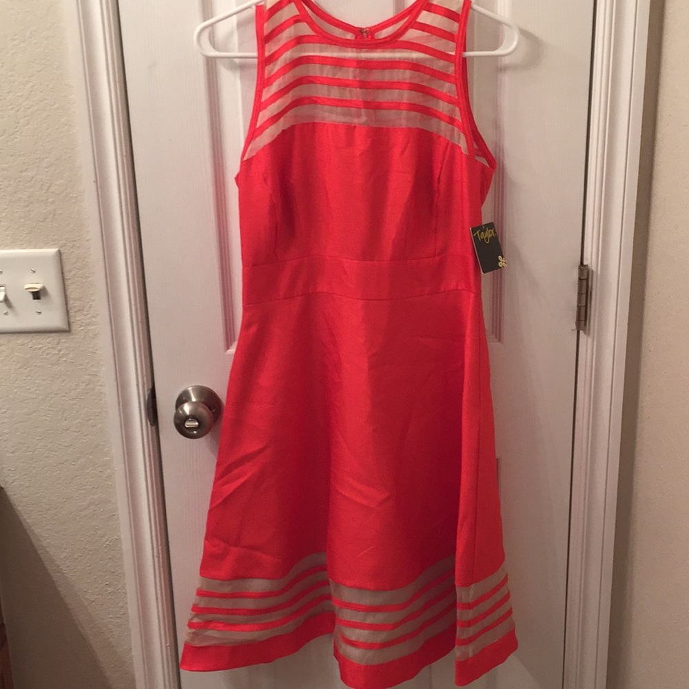 Bright Orange Dress